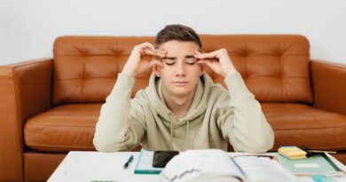 Por que Procrastinamos?":