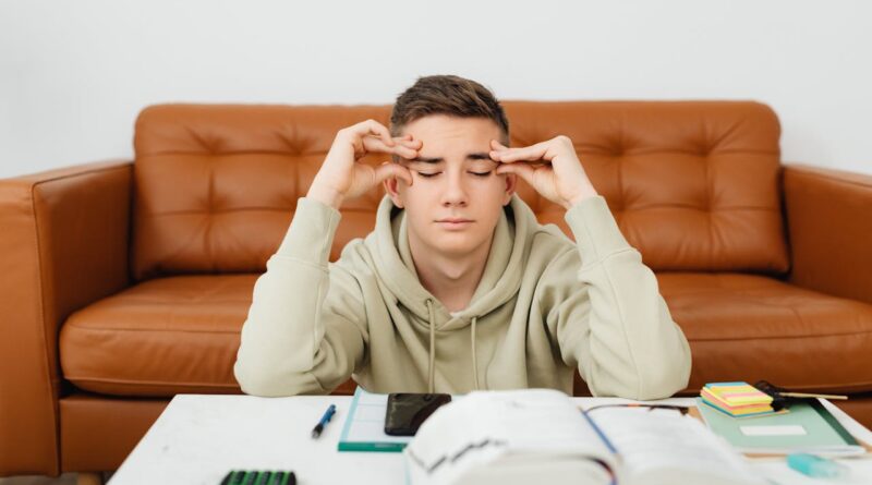 Por que Procrastinamos?":